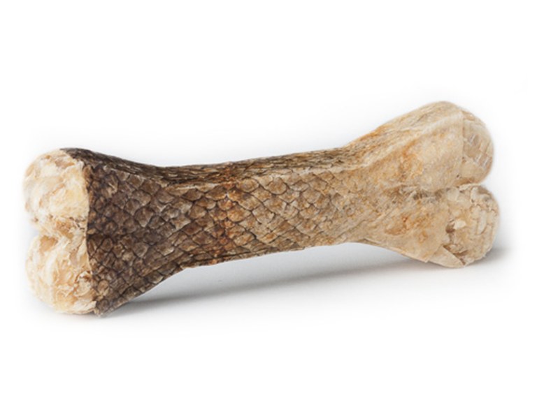 Chew bone with salmon
